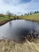 Fazenda / Sítio / Chácara com 4 Quartos à venda, 40000m² no Monte Alegre, Monte Alegre - Foto 7