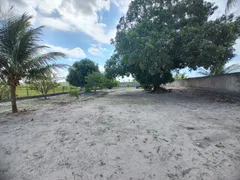 Fazenda / Sítio / Chácara com 3 Quartos à venda, 300m² no Centro, São Sebastião - Foto 12