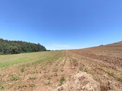 Fazenda / Sítio / Chácara à venda, 22500m² no , Gramado - Foto 8
