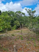 Fazenda / Sítio / Chácara com 2 Quartos à venda, 40000m² no Arembepe, Camaçari - Foto 17