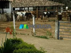 Fazenda / Sítio / Chácara com 2 Quartos à venda, 54m² no Centro, Itaúna - Foto 9