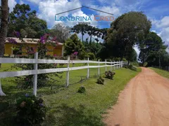 Fazenda / Sítio / Chácara com 4 Quartos à venda, 300m² no Zona Rural, Mandirituba - Foto 5