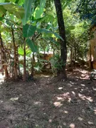 Fazenda / Sítio / Chácara com 3 Quartos à venda, 2000m² no Bananal, Campinas - Foto 15