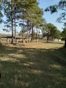 Terreno / Lote Comercial para alugar, 6000m² no Aparecidinha, Sorocaba - Foto 17