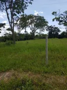 Fazenda / Sítio / Chácara com 1 Quarto à venda, 250000m² no Arapoanga, Brasília - Foto 9