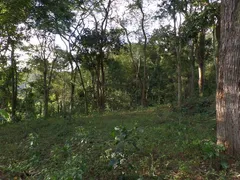 Fazenda / Sítio / Chácara com 2 Quartos à venda, 1000000m² no Pessegueiros, Teresópolis - Foto 23