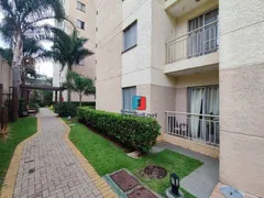Apartamento com 2 Quartos à venda, 52m² no Limão, São Paulo - Foto 22