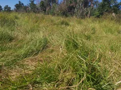 Fazenda / Sítio / Chácara à venda no Zona Rural, Poconé - Foto 24