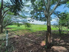 Fazenda / Sítio / Chácara com 3 Quartos para alugar, 6000m² no Area Rural de Uberlandia, Uberlândia - Foto 56