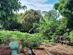 Fazenda / Sítio / Chácara com 2 Quartos à venda, 5000m² no Recreio das Acácias, Ribeirão Preto - Foto 21