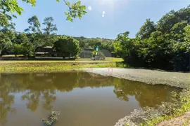 Fazenda / Sítio / Chácara com 3 Quartos à venda, 16384m² no Campo Novo, Porto Alegre - Foto 6