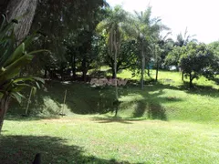 Terreno / Lote / Condomínio à venda, 48000m² no Jardim Paiquerê, Valinhos - Foto 24