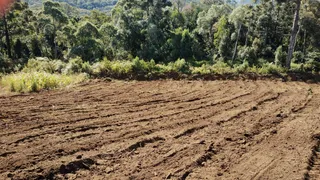 Fazenda / Sítio / Chácara com 4 Quartos à venda, 8832000m² no Centro, Porto União - Foto 6