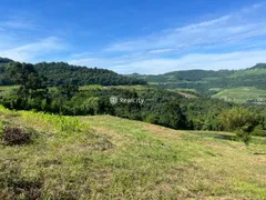 Terreno / Lote / Condomínio à venda, 20017m² no Faria Lemos, Bento Gonçalves - Foto 6