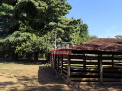 Fazenda / Sítio / Chácara à venda no Morada do Lago, Trindade - Foto 17