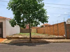 Terreno / Lote / Condomínio à venda, 995m² no Jardim Califórnia, Ribeirão Preto - Foto 6