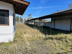 Terreno / Lote / Condomínio para alugar, 170m² no Navegantes, Porto Alegre - Foto 4