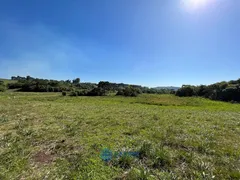 Fazenda / Sítio / Chácara à venda, 80m² no Vila Seca, Caxias do Sul - Foto 17