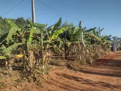 Casa com 3 Quartos à venda, 1300m² no Area Rural do Paranoa, Brasília - Foto 24