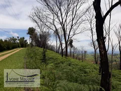 Terreno / Lote / Condomínio à venda, 5000m² no Vale das Videiras, Petrópolis - Foto 30