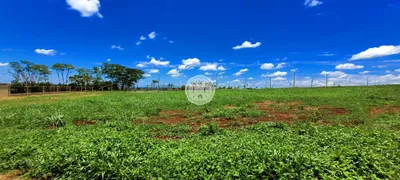 Terreno / Lote / Condomínio à venda, 310m² no Residencial Alto do Castelo, Ribeirão Preto - Foto 1