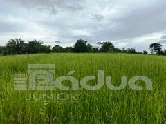 Fazenda / Sítio / Chácara com 3 Quartos à venda, 487000m² no Centro, Indiaroba - Foto 10