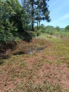 Fazenda / Sítio / Chácara com 3 Quartos à venda, 3000m² no Rio do Salto, Cascavel - Foto 8