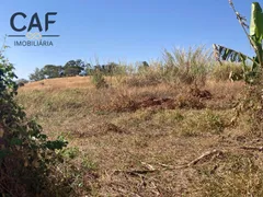 Fazenda / Sítio / Chácara com 4 Quartos à venda, 400m² no Zona Rural, Espírito Santo do Pinhal - Foto 10