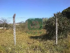 Fazenda / Sítio / Chácara com 1 Quarto à venda, 6000m² no Tubalina, Uberlândia - Foto 4