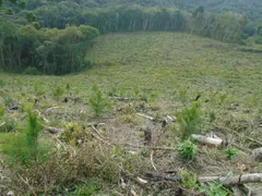 Fazenda / Sítio / Chácara com 2 Quartos à venda, 2213440m² no , Tunas do Paraná - Foto 7