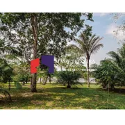 Terreno / Lote / Condomínio com 1 Quarto à venda, 30000m² no Morada do Sol, Manacapuru - Foto 10