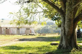 Fazenda / Sítio / Chácara com 3 Quartos à venda, 66000m² no Estancia Grande, Viamão - Foto 25