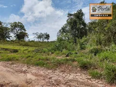 Terreno / Lote / Condomínio à venda, 5000m² no Chacara Ivoturucaia, Campo Limpo Paulista - Foto 4