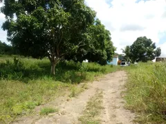 Fazenda / Sítio / Chácara à venda, 10000m² no Zona Rural, Glória do Goitá - Foto 13