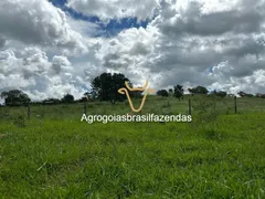 Fazenda / Sítio / Chácara com 3 Quartos à venda, 150m² no Area Rural de Goiania, Goiânia - Foto 4