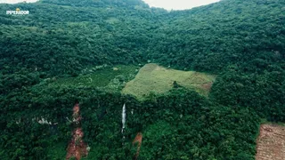 Casa Comercial à venda, 120000m² no , Vale Real - Foto 1