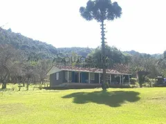Fazenda / Sítio / Chácara com 1 Quarto à venda, 400000m² no Centro, Bocaiúva do Sul - Foto 4