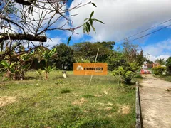 Fazenda / Sítio / Chácara com 4 Quartos à venda, 100m² no Jardim Chácara Mea, Suzano - Foto 6