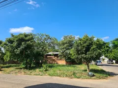 Terreno / Lote / Condomínio à venda, 338m² no Camboim, Sapucaia do Sul - Foto 4