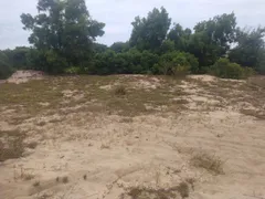 Terreno / Lote Comercial à venda, 1m² no Grussaí, São João da Barra - Foto 6