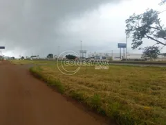 Terreno / Lote / Condomínio à venda, 4500m² no Vera Cruz, Aparecida de Goiânia - Foto 6