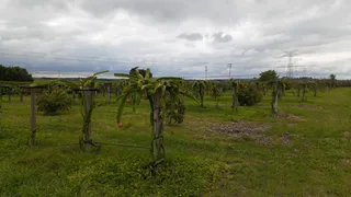Fazenda / Sítio / Chácara com 2 Quartos à venda, 400m² no Saltinho, Elias Fausto - Foto 6