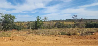 Fazenda / Sítio / Chácara à venda, 20000m² no Zona Rural, Baldim - Foto 4