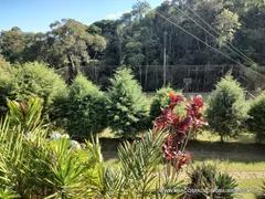 Fazenda / Sítio / Chácara com 3 Quartos à venda, 10000m² no Centro, Biritiba Mirim - Foto 8