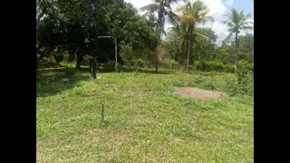 Fazenda / Sítio / Chácara com 5 Quartos à venda, 21413m² no Guabiraba, Recife - Foto 27
