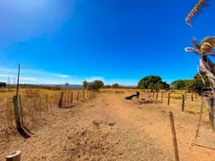 Fazenda / Sítio / Chácara com 8 Quartos à venda, 500000m² no Zona Rural, Luziânia - Foto 6