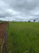 Fazenda / Sítio / Chácara com 2 Quartos à venda, 80000m² no Zona Rural, Jataizinho - Foto 11