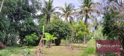 Fazenda / Sítio / Chácara com 3 Quartos à venda, 90m² no Zona Rural, José Bonifácio - Foto 27