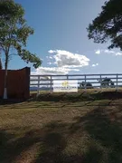 Fazenda / Sítio / Chácara com 3 Quartos à venda, 370m² no Zona Rural, Guaratinguetá - Foto 13