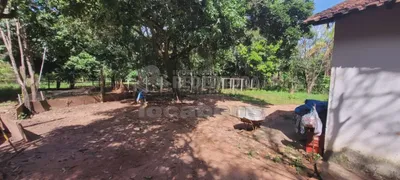 Fazenda / Sítio / Chácara com 2 Quartos à venda, 120m² no Chácara Recreio Terras de São José Zona Rural, São José do Rio Preto - Foto 25